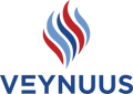 Veynuus firm Logo