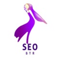 SEO BTR Baton Rouge Logo
