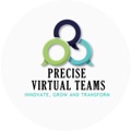 Precise Virtual Teams Logo