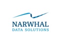 Narwhal Data Solutions Logo