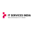 IT Services India Inc. Logo