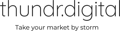 Thundr Digital - Out of Business Logo