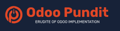 Odoo Pundit Logo