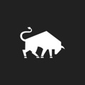 Bull Design Studio Logo