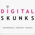 Digital Skunks Logo