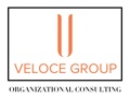 Veloce Group, LLC Logo