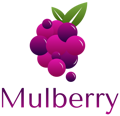 Mulberry Solutions Logo