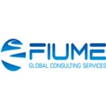FIUME Consulting Logo