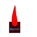 Morvin International pvt ltd IT Solutions Logo