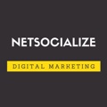 Netsocialize Logo