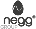 negg Group Logo