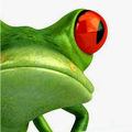 Cyberfrog Design Ltd Logo