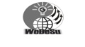 WeDeSu Web Development & SEO Agency Logo