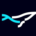 yWhales Logo