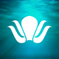 Ahtapot Sosyal Medya Logo