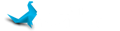 Allvis Marketing Logo