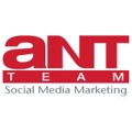 Ant Team Social Media Marketing Logo