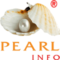 ADD PEARLINFO PVT. LTD. Logo