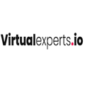 Virtual Experts Logo