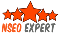 NSEO EXPERT Logo