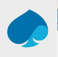 Capgemini Logo