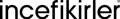 İnce Fikirler Logo