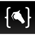 CodeBridle Logo
