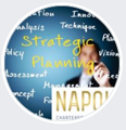 Napoli Chartered Accountants Logo