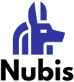 Nubis IT Services Logo