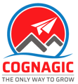 Cognagic Informatics Logo