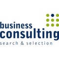 Business Consulting (search & selection) / Cornerstone Int. Group (Poland) Logo
