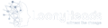 LoonyHeads Logo