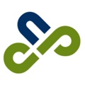 Nordic Public Affairs Logo