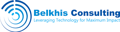 Belkhis Consulting LLC Logo
