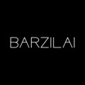 BARZILAI Exhibition Experts Logo