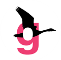 Goose Collaborative Ltd Logo