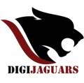 Digijaguars Pvt Ltd Logo