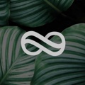 Mongoosh Designs Logo