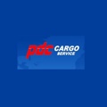 PDC CARGO SERVICE Logo