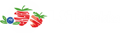 LST Polska Logo