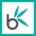 Bamboo Nine Logo