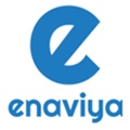Enaviya Information Technologies Pvt. Ltd. Logo