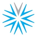 Root Valuation Logo