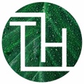 Timber Haus Developments Logo