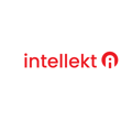 Intellekt AI LLP Logo