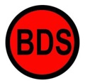 BDS Architecture Logo