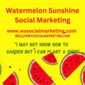 Watermelon Sunshine Social Marketing Logo