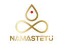 Namastetu Technologies Logo