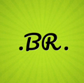 BR Consulting Security Logo