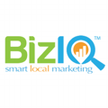 BizIQ Logo